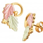 Earrings - by Landstrom's